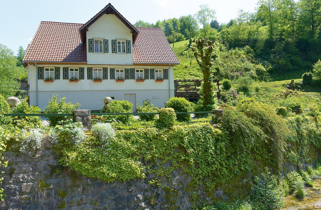 Hotel - Gasthof Blume Oppenau Bagian luar foto