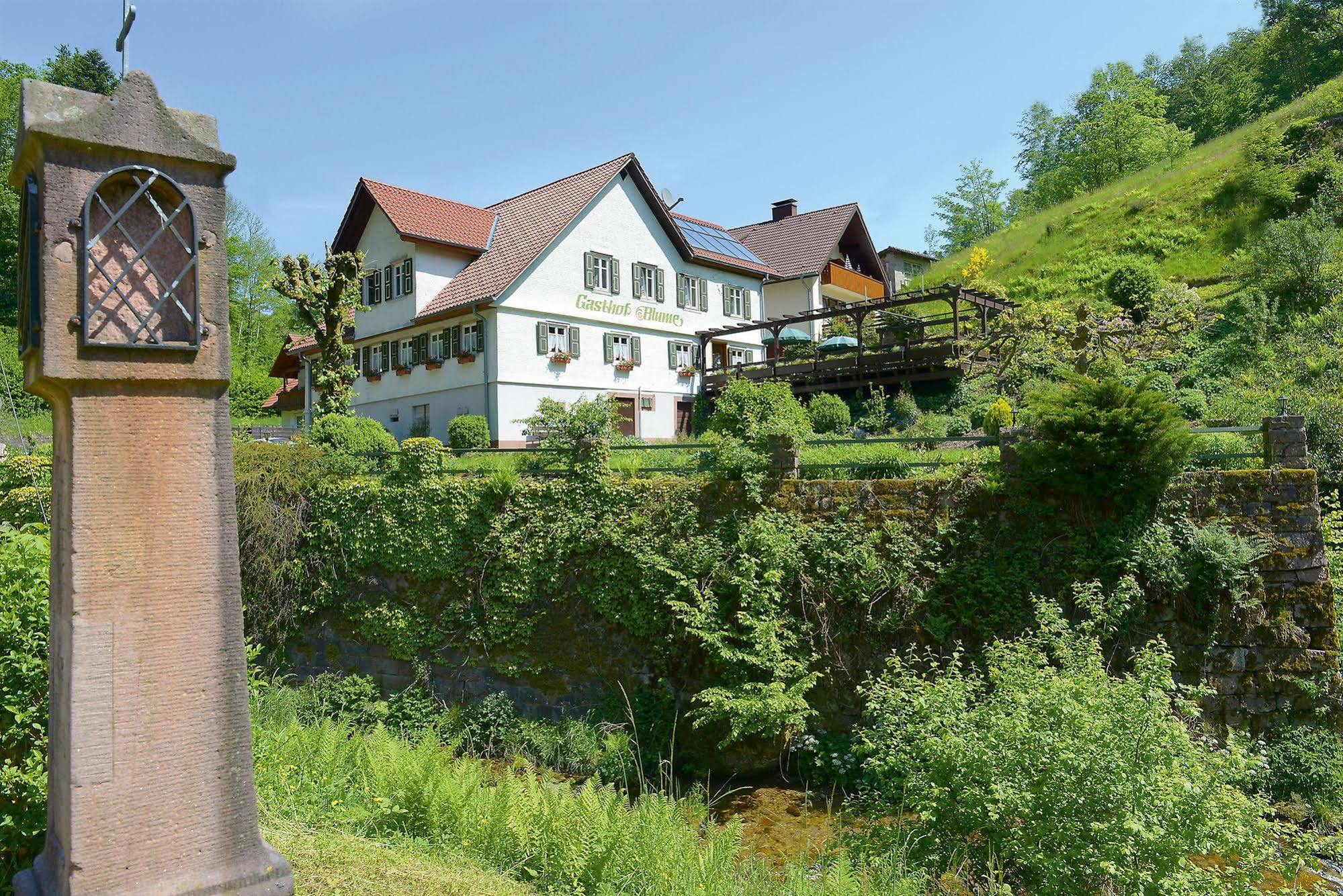Hotel - Gasthof Blume Oppenau Bagian luar foto