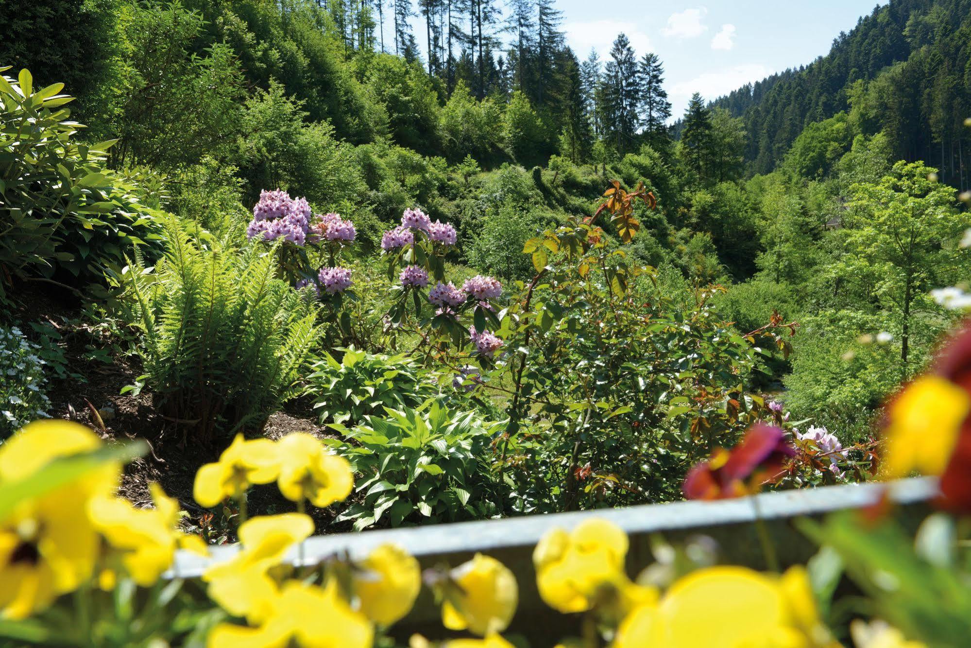 Hotel - Gasthof Blume Oppenau Bagian luar foto