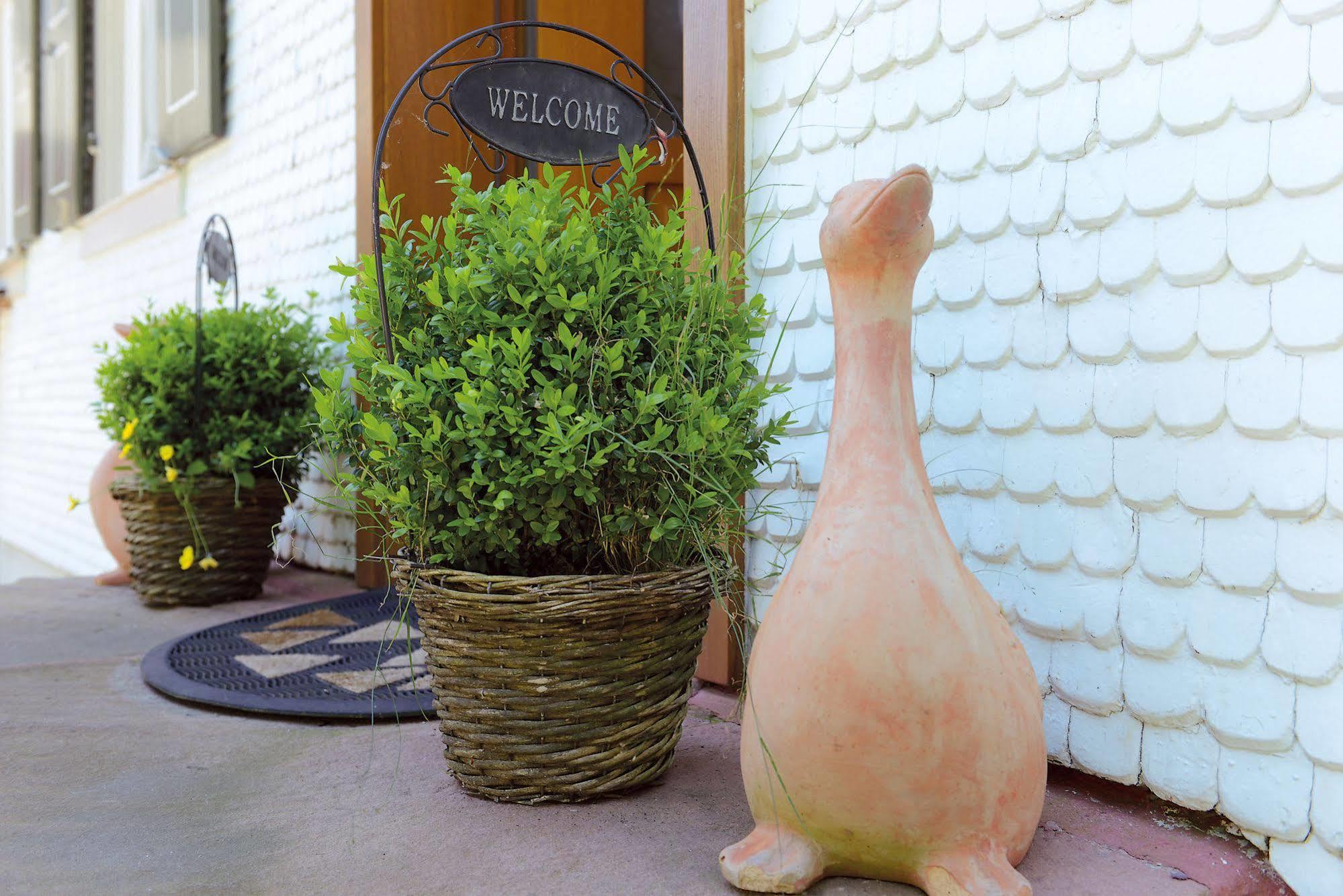 Hotel - Gasthof Blume Oppenau Bagian luar foto